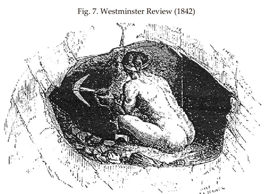 westminster review 1842 fig 7